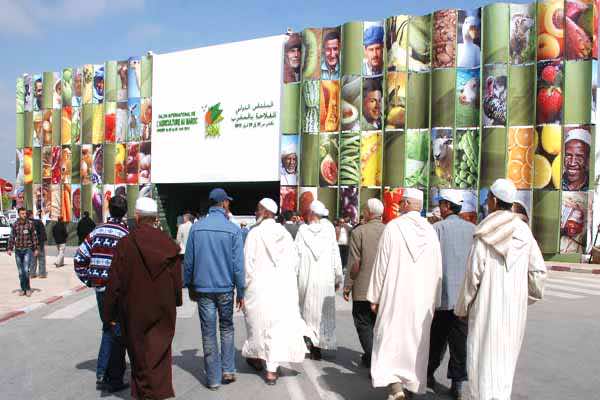 معرض الفلاحة بمكناس  لم يحقق رهان مليون زائر