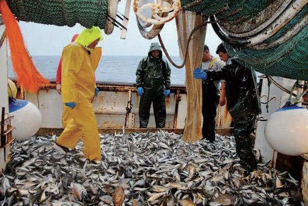 البوليساريو غاضبة من استعداد بروكسيل لتوقيع اتفاق الصيد البحري مع المغرب 