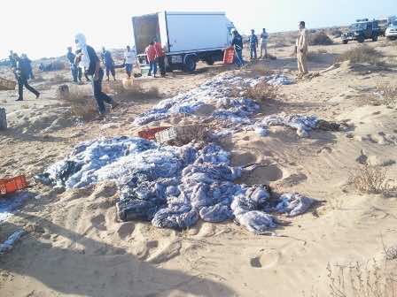 حجز أطنان من الإخطبوط  المهرب من الداخلة