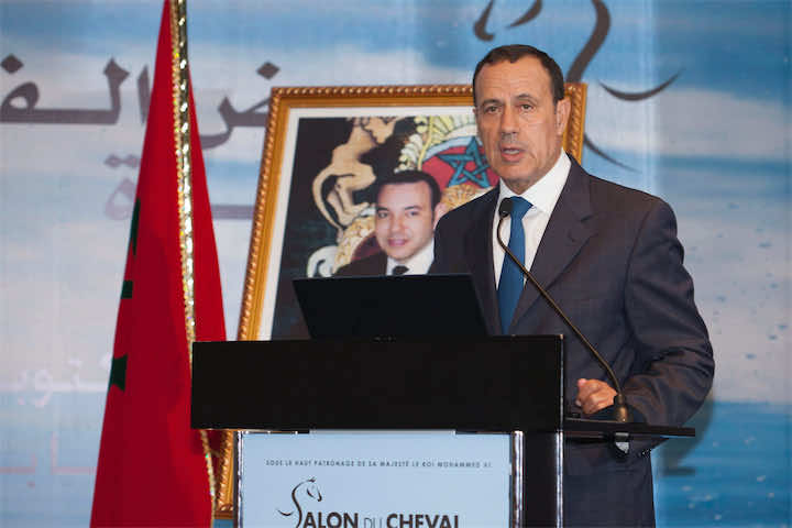 الجديدة تحتضن الدورة السابعة لمعرض الفرس  .. 
