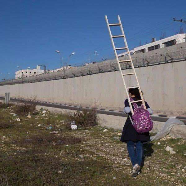  فلسطين .. اطلبوا العلم ولو خلف الجدار !