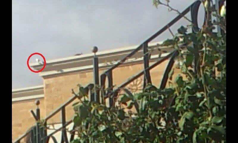 بعد أحداث "الإثنين الأسود" رئاسة جامعة وجدة تثبّت كاميرات المراقبة