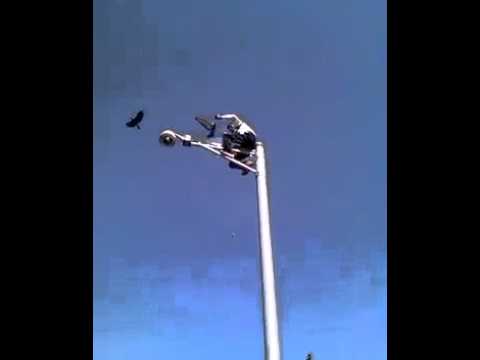 حارس أمن يُحاول الانتحار من أعلى عمود كهربائي بفاس - صورة