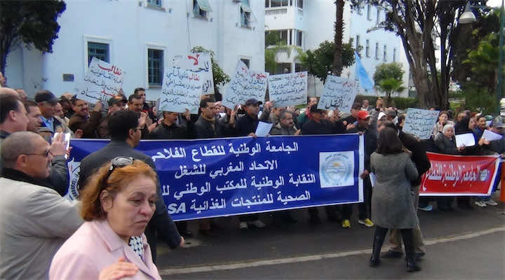 مستخدمو مكتب السلامة الصحية للمنتجات الغذائية يخرجون إلى الشارع غدا