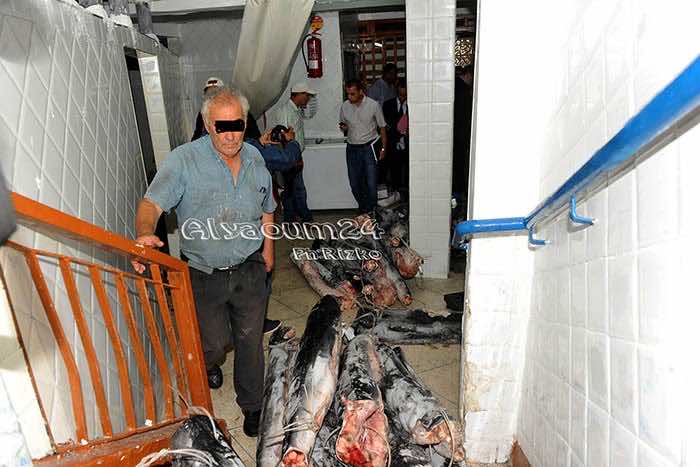 أنطونيو.. الإسباني الهارب الذي زوّد مطاعم فاخرة في البيضاء بسمك فاسد