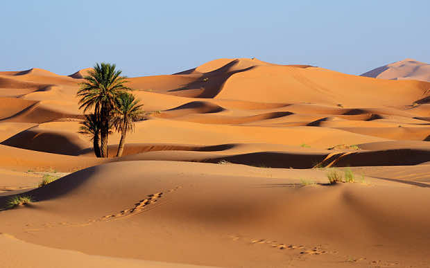 صحارى المغرب تجذب فاتنات السويد