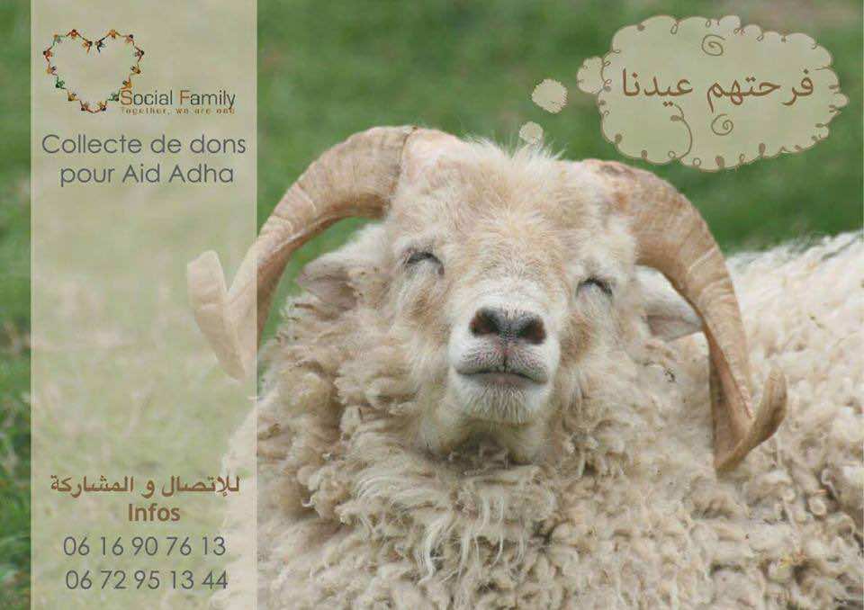 شباب يطلقون مبادرة "فرحتهم عيدنا" لشراء أضاحي الأسر المعوزة