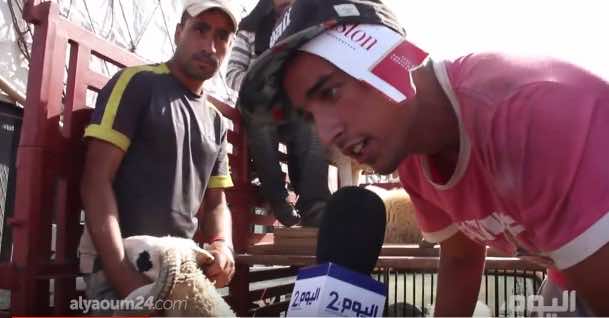 كاميرا اليوم24ترصد معاناة البسطاء مع أسعار الأضاحي الملتهبة و"الشناقة"