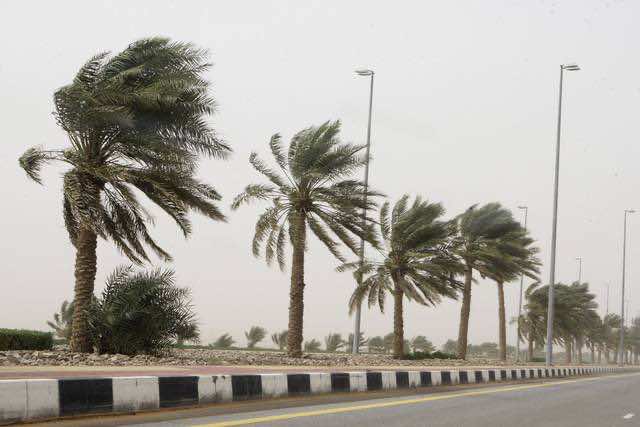 أحوال الطقس.. قطرات محلية ورياح ضعيفة اليوم الأحد