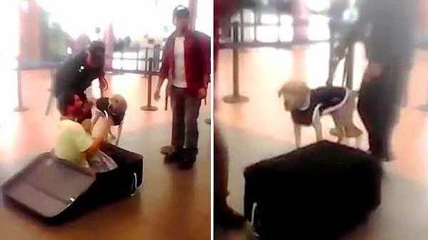 فر من السجن وقدم المال لتهريبه لكن كلبا كشفه بالمطار!