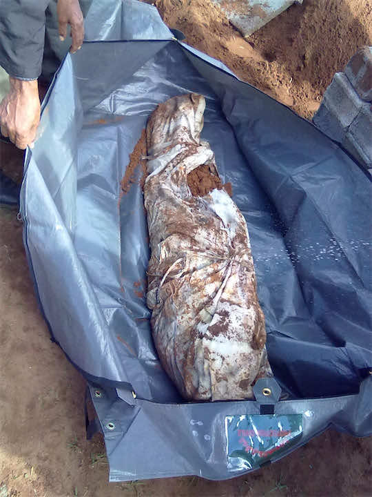 8 سنوات نافذة لقاتل طفله بمدينة ميدلت بسبب صراخه ليلا
