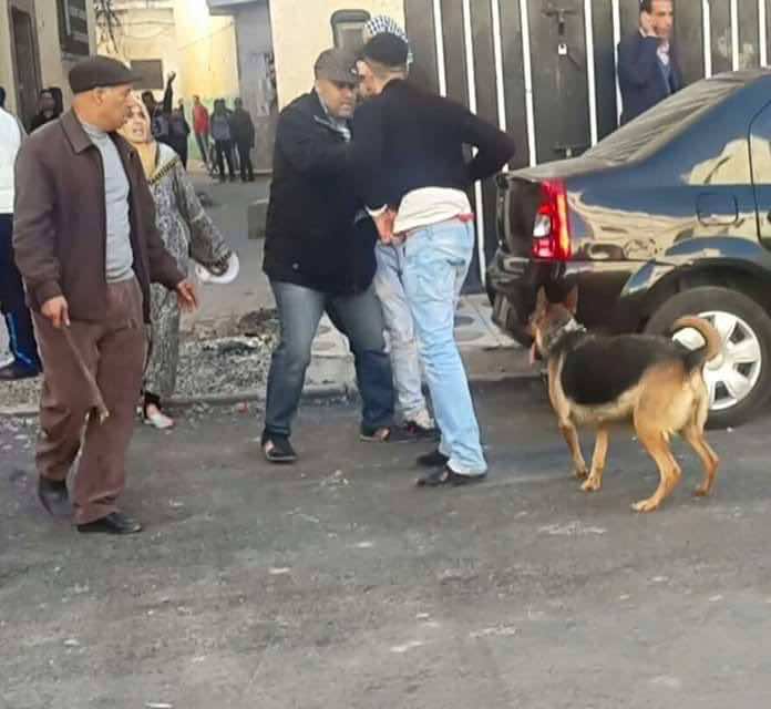 تفاصيل مواجهة مروعة لمجرمين واجهوا رجال الأمن ب"كلب شرس" بالقصر الكبير