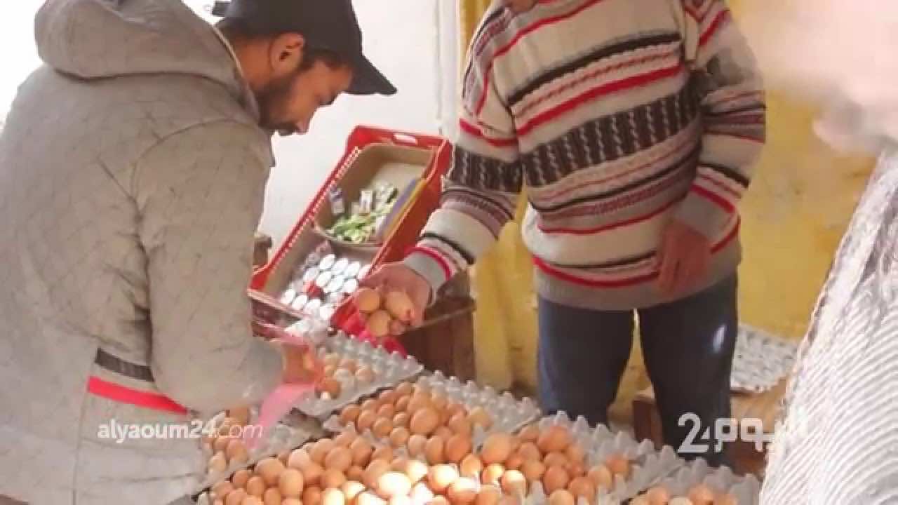 الخلفي: السلطات ستقف في وجه المضاربات بأسعار البيض