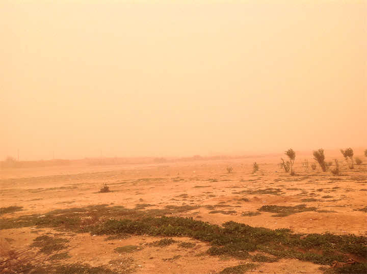 غبار كثيف يجتاح الجنوب الشرقي