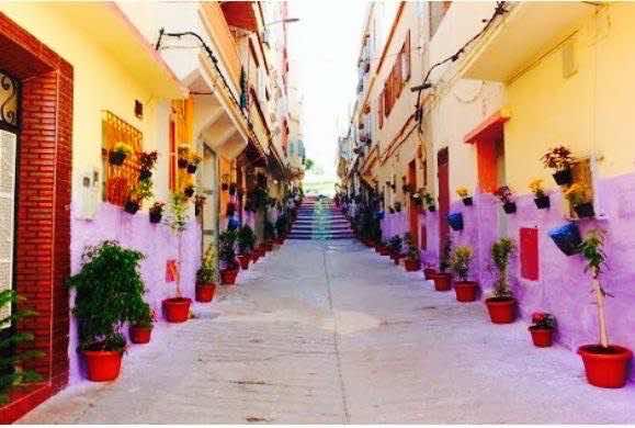 الخلفي في طنجة لمكافأة مبادرات تزيين الأحياء
