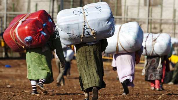 حجز 42 رزمة من السلع المهربة بقيمة مليون و310 ألف درهم