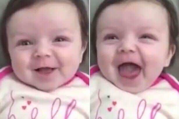 بالفيديو -رضيعة بعمر 10 أسابيع تنطق بكلمة hello
