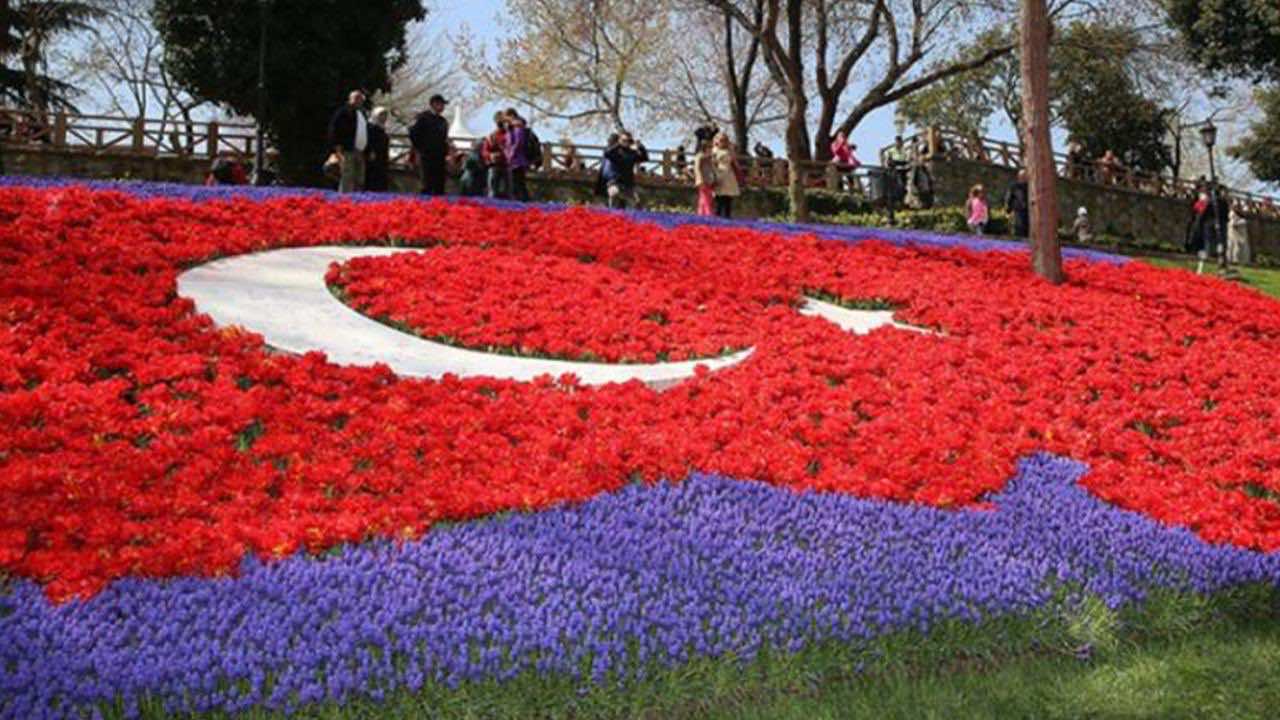 انطلاق مهرجان التوليب في اسطنبول- صور رائعة