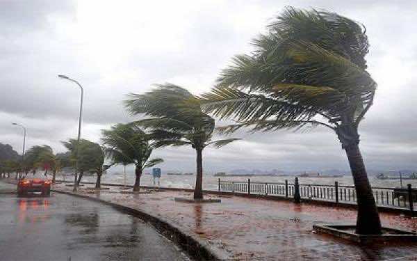 الأرصاد الجوية تُحذر المواطنين من أمطار قوية ورياح عاصفية اليوم وغدا