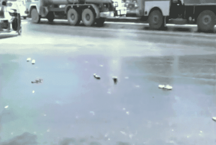 الحرارة المفرطة تُذيب شوارع الهند! -فيديو