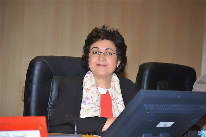 رفض نقابي لهيكلة الوزيرة مروان لغرف الصناعة التقليدية