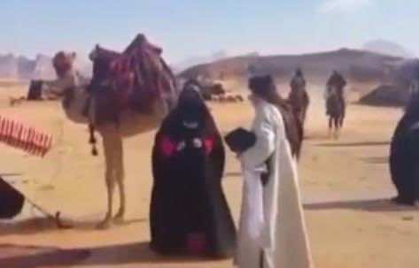 جمل يفاجئ ممثلة في مسلسل رمضاني بركلة قوية-فيديو