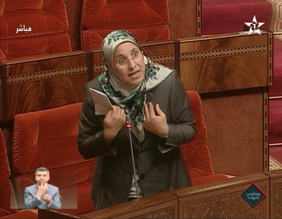 الحقاوي: 10 آلاف طفل معاق يستفيدون من صندوق التماسك الاجتماعي