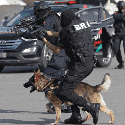 الأمن المغربي يعتقل 80 شخصا مبحوث عنهم دوليا في 2016
