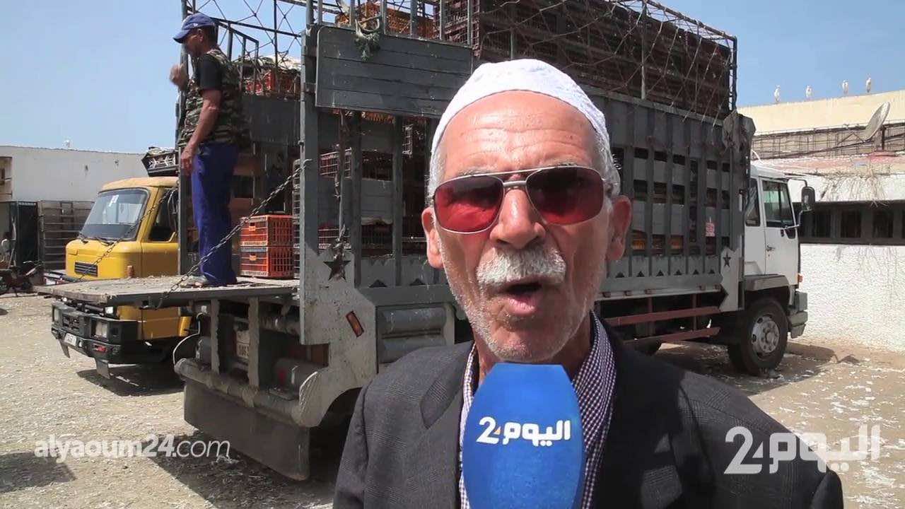مربو الدواجن يهددون بالاحتجاج: نشتكي من السماسرة