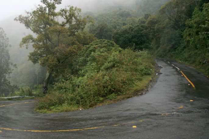وفاة سائحة مغربية في حادثة سير بجزيرة بالي الإندونيسية
