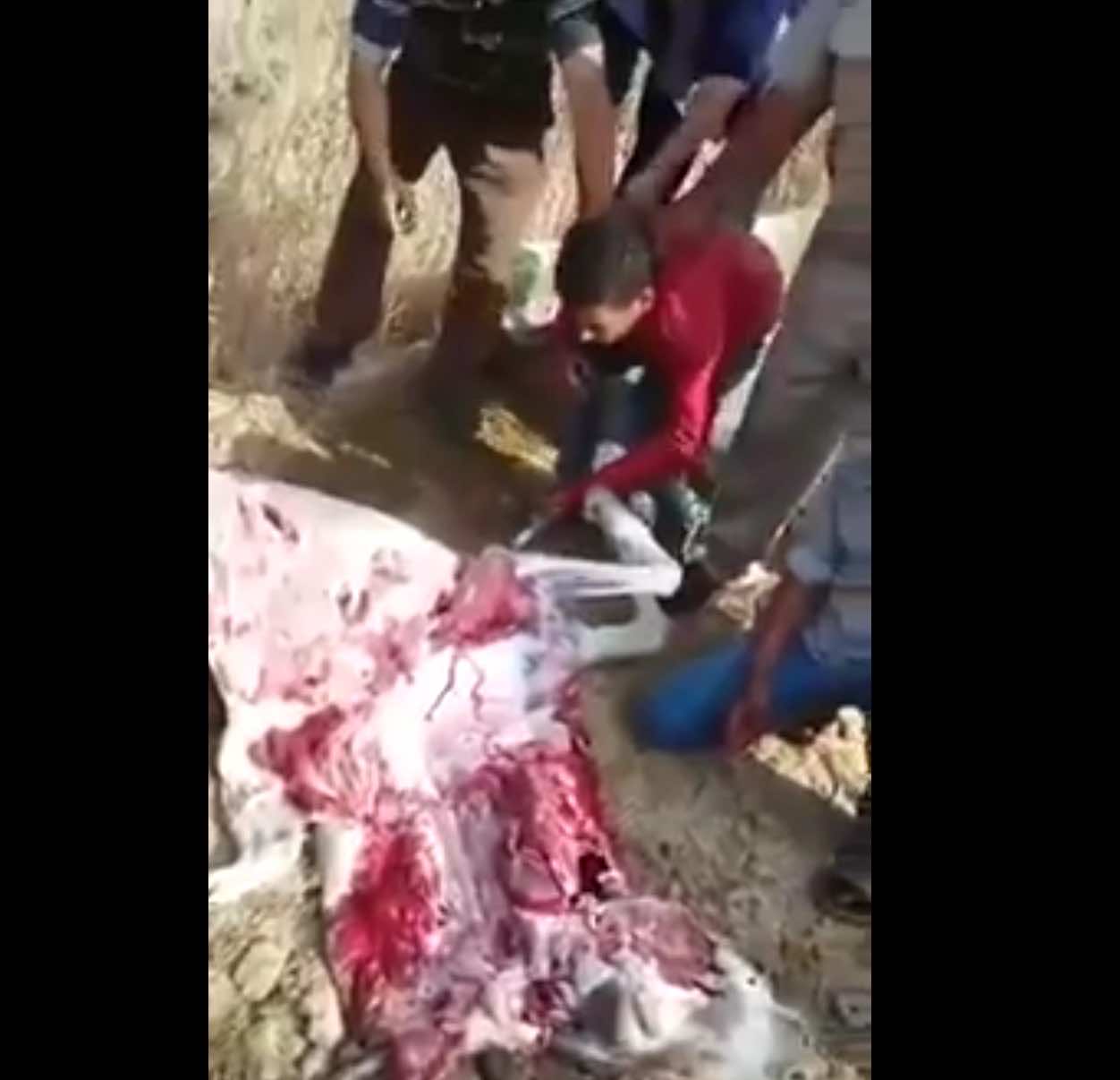 الشرطة تجبر جزاراً على الأكل من لحم حمار بعد القبض عليه وهو يبيعه - فيديو
