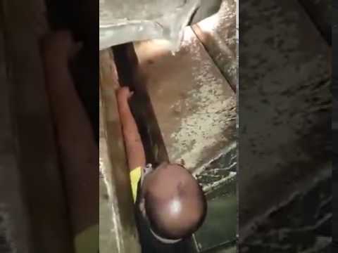11 شخصا أمام قاضي التحقيق في قضية بائع السمك..وهذه تهمهم