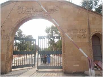حشرة البق ترهق قاطني الحي الجامعي بوجدة!