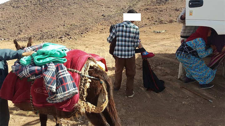 في مشهد صادم..عائلة تنقل مسنة مريضة على ظهر حمار بتنغير!-صور