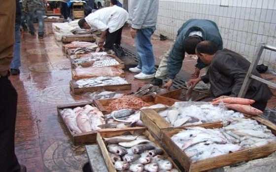بعد اتهامه عون سلطة بالاعتداء عليه.. بائع السمك بطنجة يعود عن أقواله!
