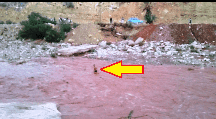 شاب يغامر بحياته ويقطع واديا "خطيرا" في أكادير للوصول إلى منزل أسرته - فيديو