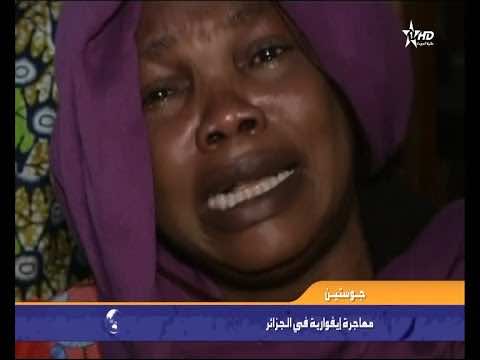 الجزائر في ورطة والتهمة ( عنصرية الدولة )