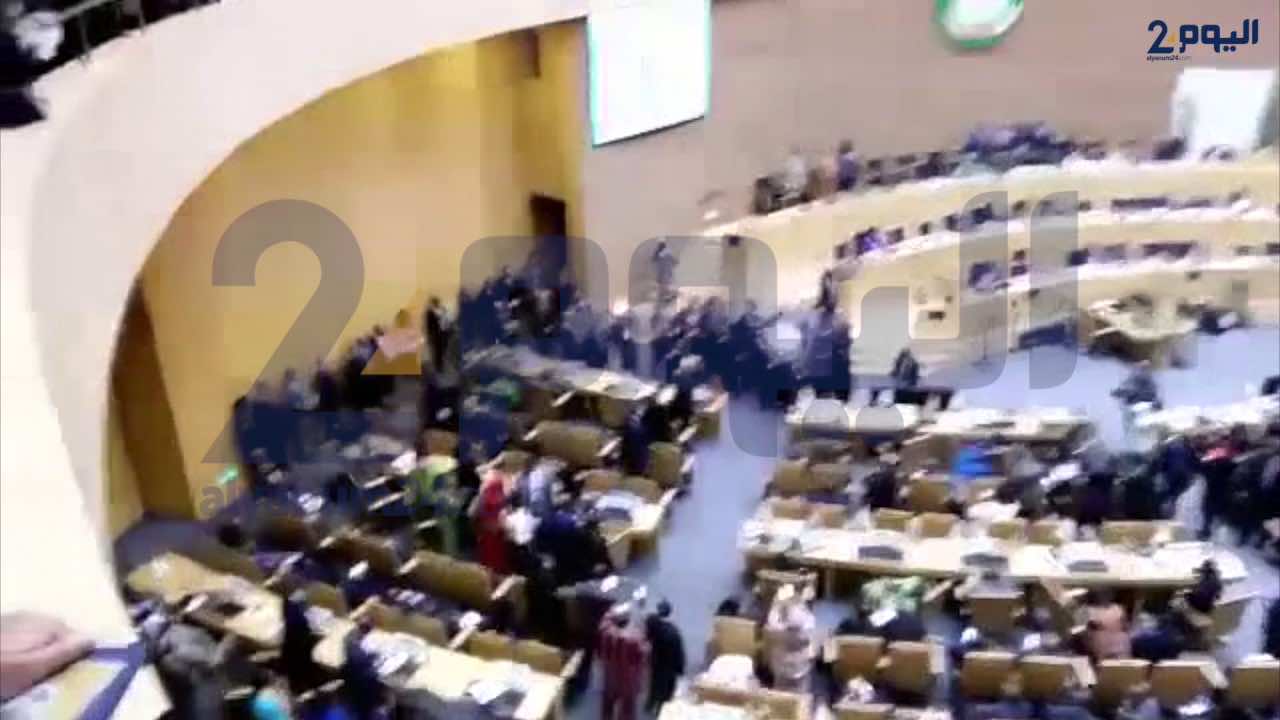 العصا لا تصنع من الحمار فرسا