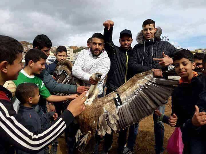 شباب يعذبون نسرا مهددا بالانقراض