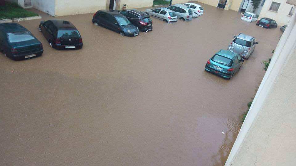 مدن متوحشة