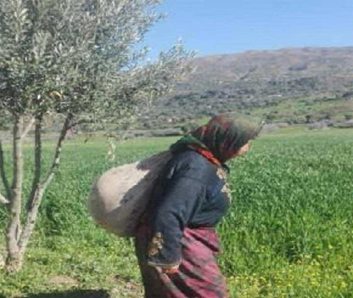 مأساة مختلة عقليا تغتصب يوميا وتضع في الخلاء