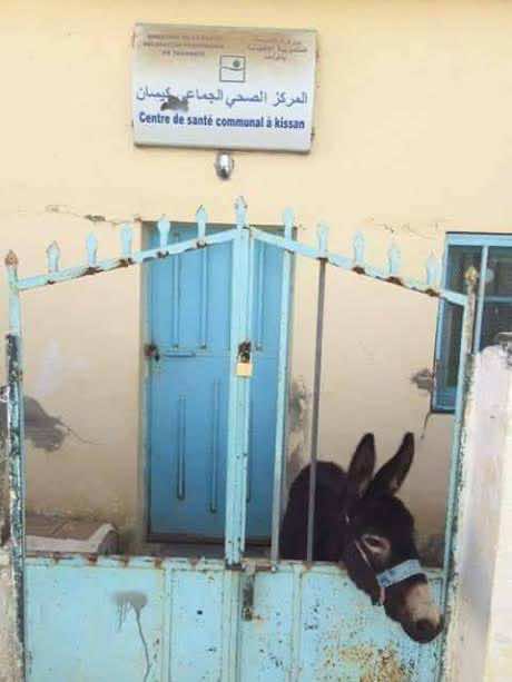 صورة حمار في مستوصف تصنع الجدل في مواقع التواصل الاجتماعي  
