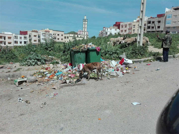 طرد عمال نظافة يشعل الاحتجاجات ويغرق مدينة وزان بالنفايات