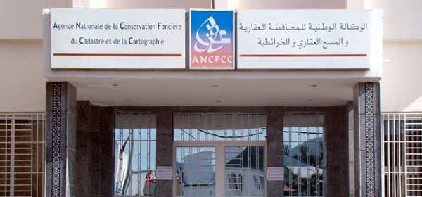 "أشخبار التيتر" نظام معلوماتي يتيح للمواطنين تتبع أملاكهم