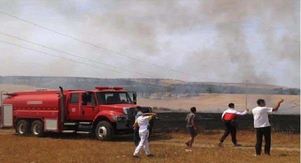 السجائر تتسبب في إحراق 35 ألف هكتار من القمح في جهة الشاوية