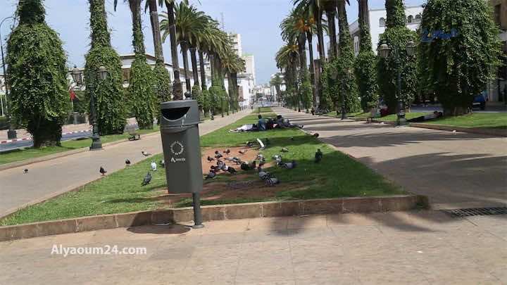 غدا الأحد..الرباطيون بدون سيارات
