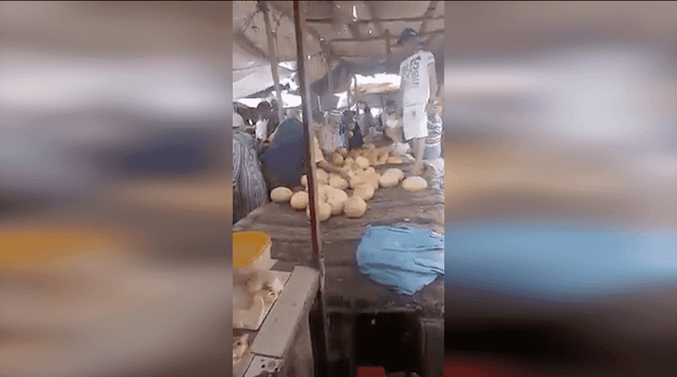 بائع متجول يصيح: عاش الزفزافي.. عاش الشعب! - فيديو