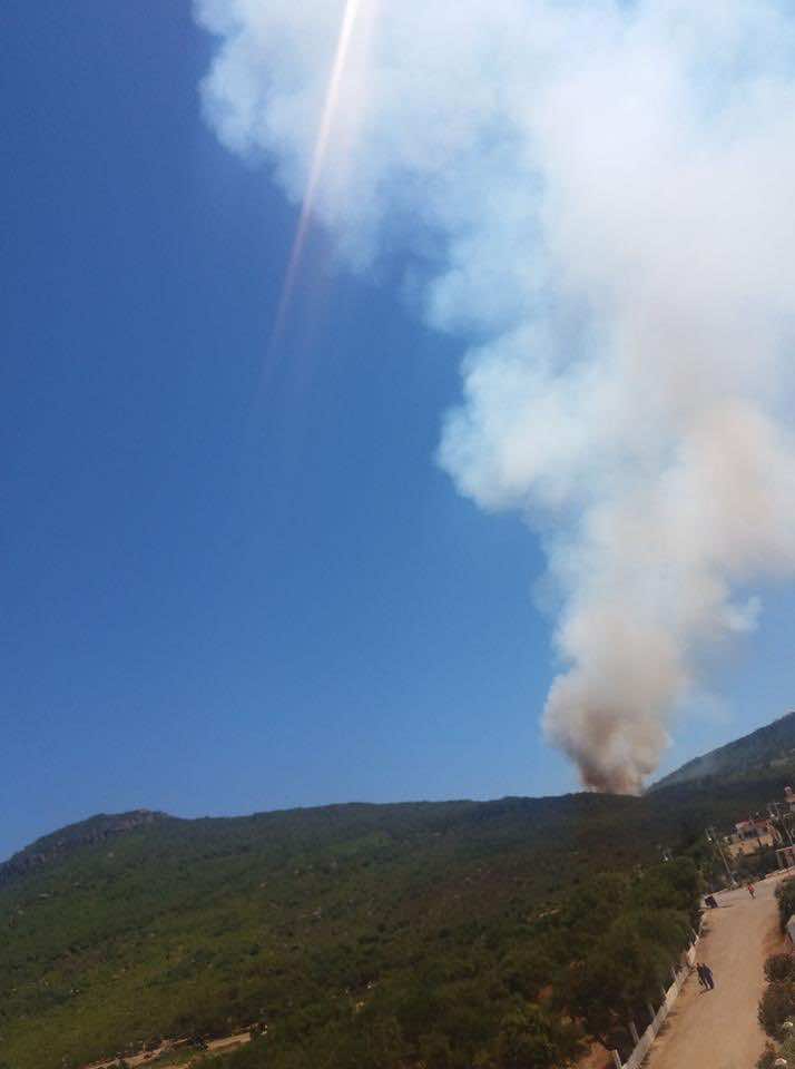 عاجل..حريق مهول يشتعل في غابة أشقار بطنجة
