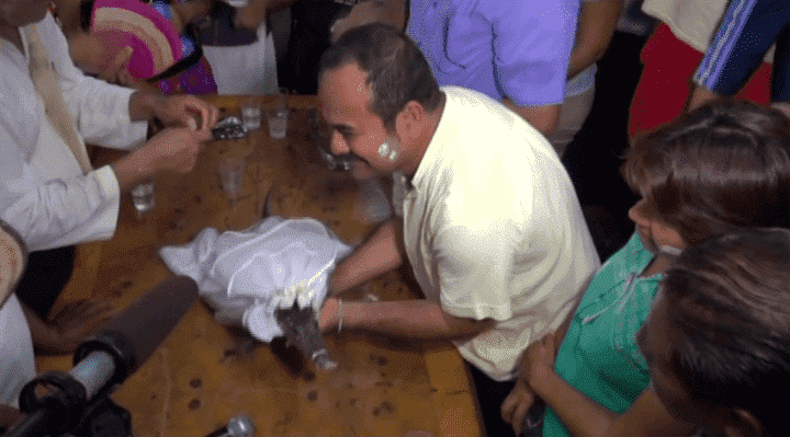 مثير...رئيس بلدية في المكسيك يتزوج بأنثى تمساح!! -فيديو