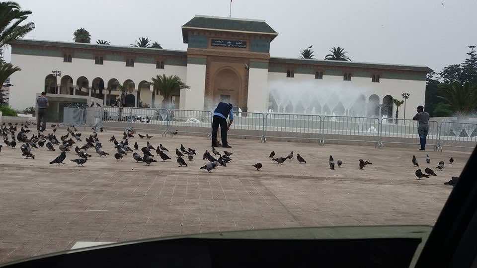 حمام الحسن الثاني يعود إلى نافورة الدارالبيضاء الجديدة